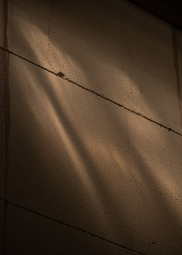 No Service 24 7® research, strategy and content