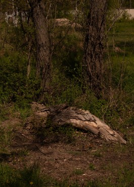 No Service 24 7® research, strategy and content