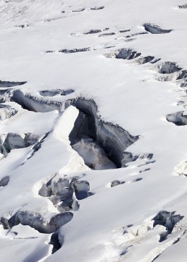 No Service 24 7® research, strategy and content